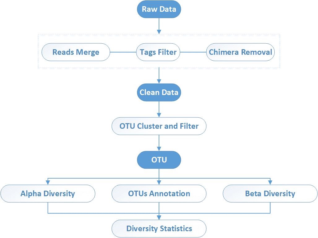 Bioinformatics Workflow for 16S/18S/ITS Amplicon Sequencing