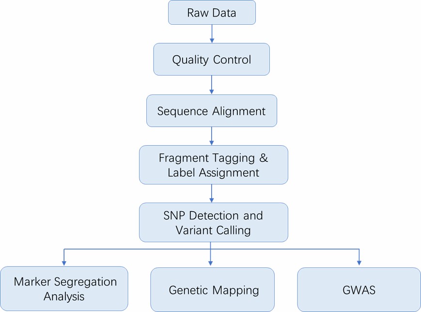 The Data Analysis Pipeline of 2b-RAD. 