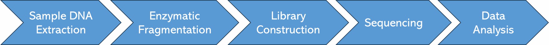 The Workflow of ddRAD-seq.