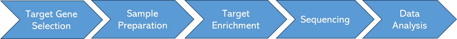 The Workflow of Gene Panel Sequencing.