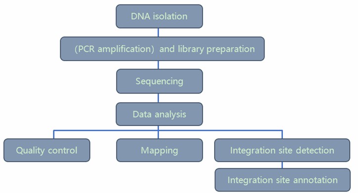 The Data Analysis Pipeline of Lentiviral/Retroviral Integration Sites Analysis. 