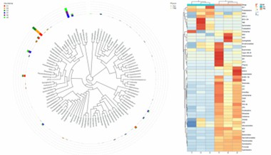 Figure 2. 16S/ITS/18S Amplicon Sequencing Microbial Identification Results.