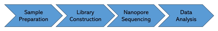 The Workflow of Nanopore RNA Methylation Sequencing
