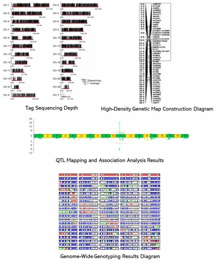 The 2b-RAD Results Display Figure.