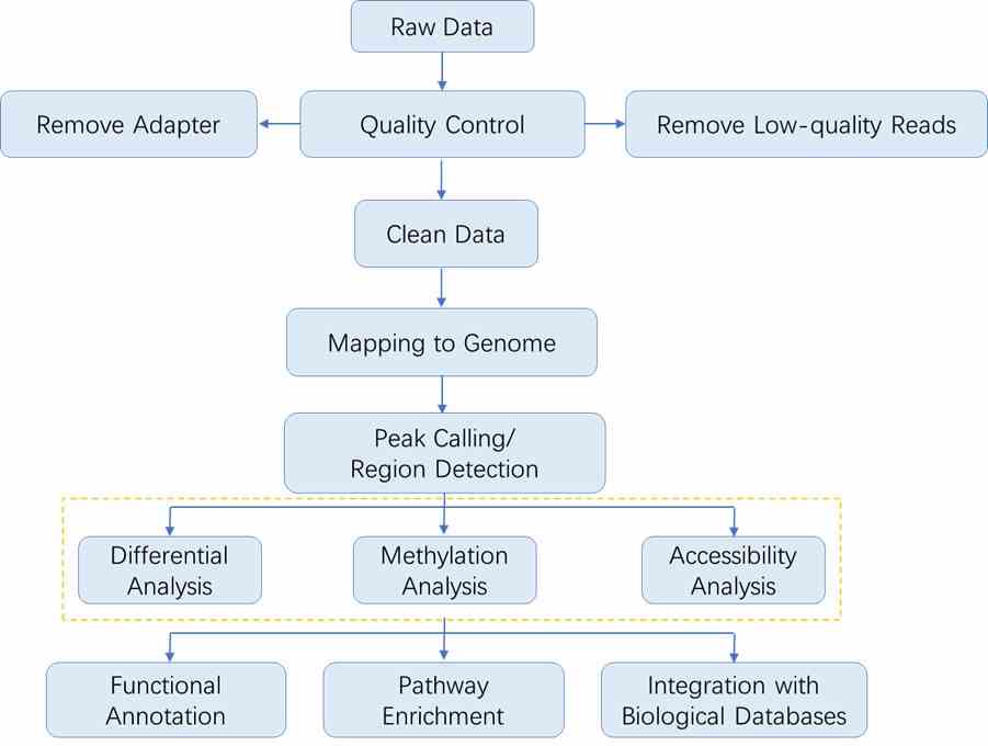 The Data Analysis Pipeline of Epigenomics Sequencing. 