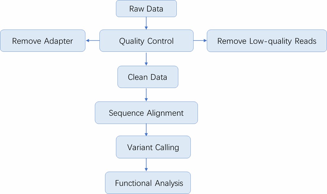 The Data Analysis Pipeline of Gene Panel Sequencing.