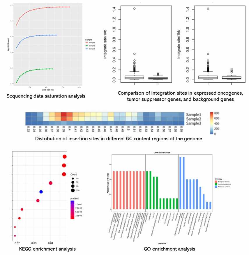 The Lentiviral/Retroviral Integration Sites Analysis Results Display Figure.