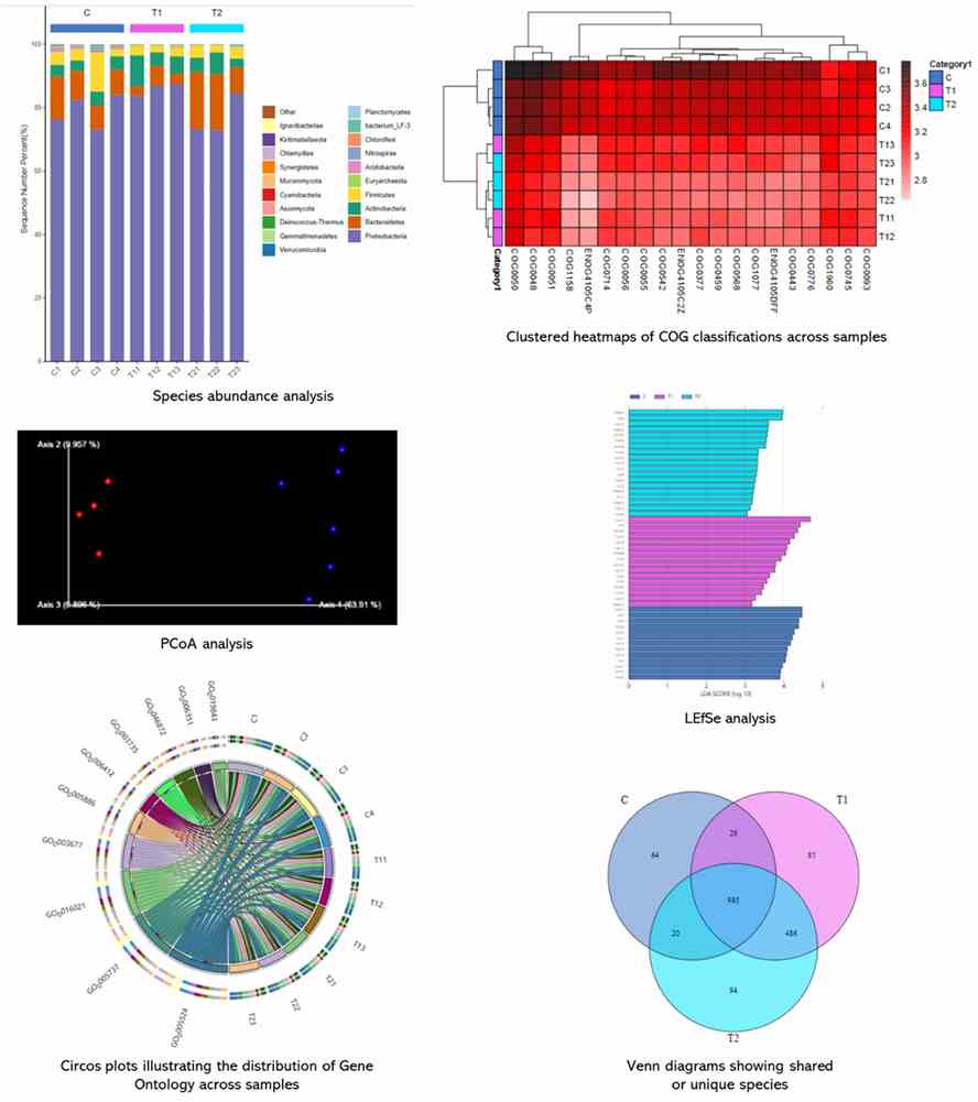 The Long-Read Metagenomic Sequencing Results Display Figure.
