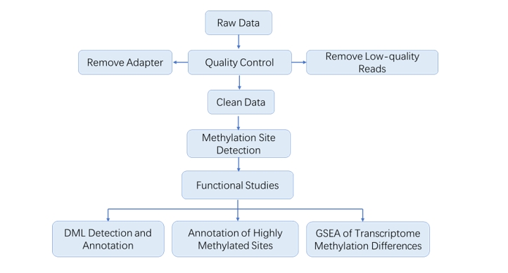 The Data Analysis Pipeline of Nanopore RNA Methylation Sequencing.