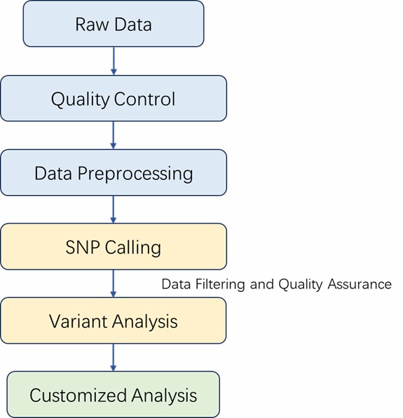 The Data Analysis Pipeline of SNP Microarray.