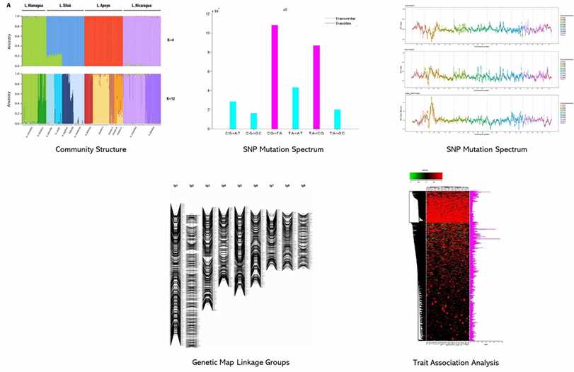 The ddRAD-seq Results Display Figure.