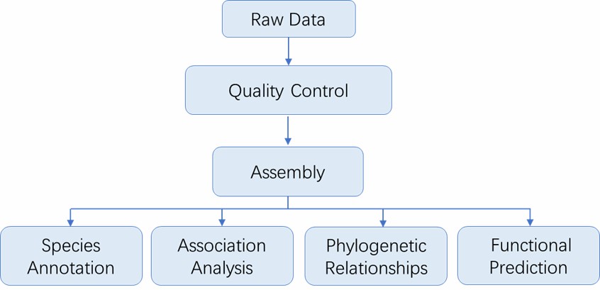 The Data Analysis Pipeline of Microbial Identification.