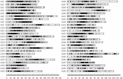 Figure 1. Sex-averaged genetic linkage map of the Yangtze River common carp C. c. haematopterus, constructed using 2b-RAD and microsatellite markers. (Feng et al., 2018)