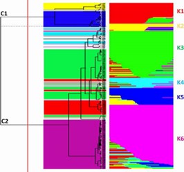 Fig. 1 Genetic diversity estimation for 288 tomato accessions using ddRAD. (Esposito et al., 2020)