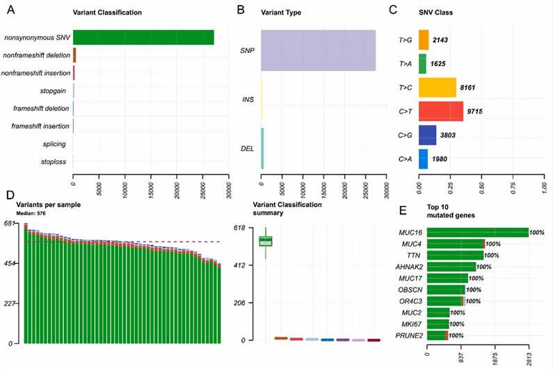 Fig. 1. Summary of mutation profiles for 50 multiple myeloma patients. (Xie et al., 2023)