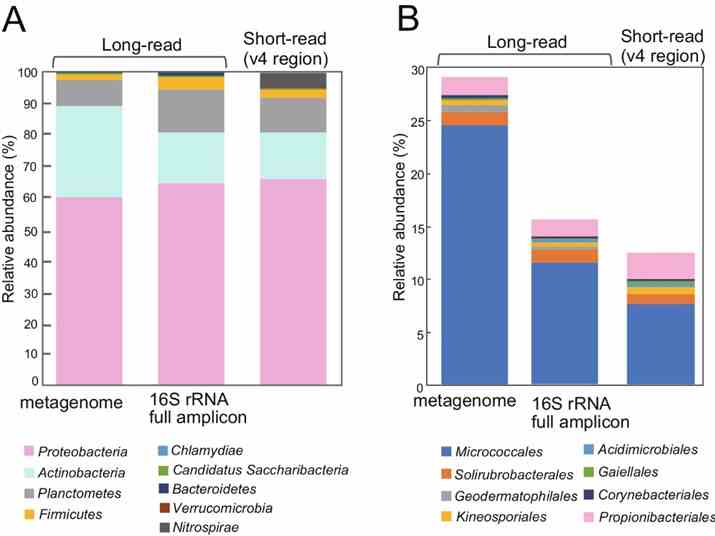 Fig. 2: Comparison of relative abundance of 16S rRNA genes in the metagenome, full-length amplicon sequences, and short reads. (Masuda et al., 2024)