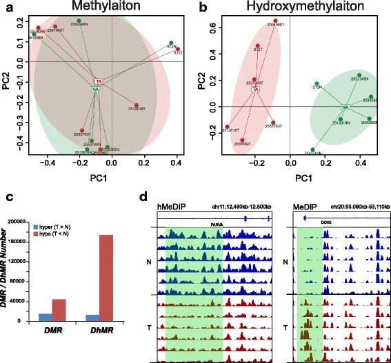 Fig. 2. Differential distributions of methylation and hydroxymethylation. (Zhu et al., 2018)