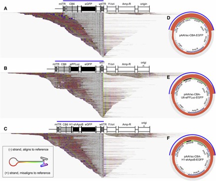Figure 3. Alignments of Heterogeneous Vector Populations with the pCis-Plasmid Reference. (Tai et al.,2018)