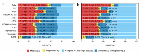 Figure 1. BUSCO assessment of uncollapsed (a) and collapsed (b) transcripts. (Schaarschmidt et al., 2020)