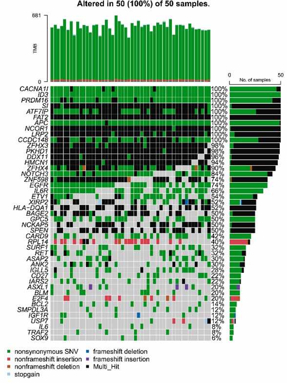 Fig. 2. Visualization of the 45 frequently mutated genes among the 50 patients using OncoPrinter. (Xie et al., 2023)