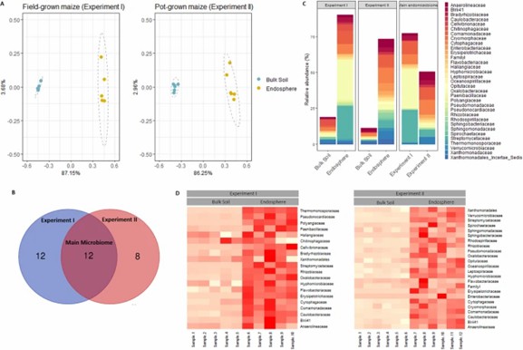 Fig 1. Main bacterial families identified in the root endosphere of maize grown in field soil versus those grown in pots. (Beirinckx et al., 2020)