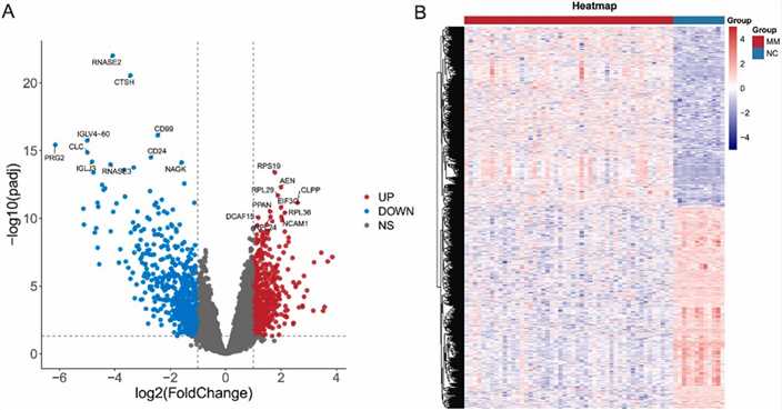 Fig. 4. Detection of differentially expressed genes (DEGs) in the GSE6477 datasets. (Xie et al., 2023)