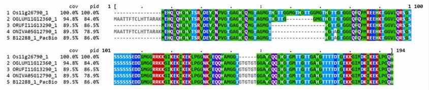 Figure 4. Alignment of five Oryza RAB21 dehydrin proteins. (Schaarschmidt et al., 2020)