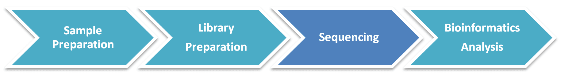 Workflow Diagram of T Viral Metagenomic Sequencing