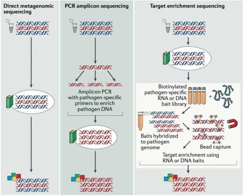 Figure 1. Primary Methods Employed for Viral Genome Sequencing. (Houldcroft et al., Clinical and biological insights from viral genome sequencing. 2017) 