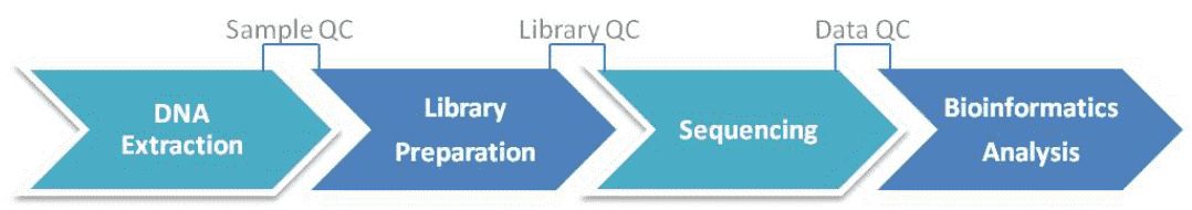 Workflow Diagram of Absolute Quantitative 16s/18s/ITS Amplicon Sequencing.