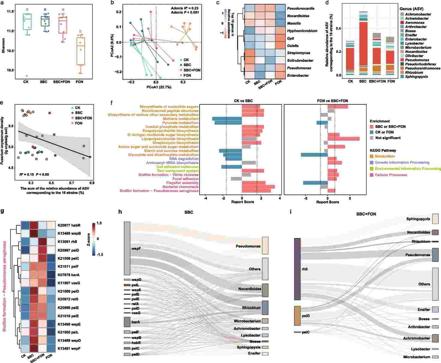 Fig 1: Alterations in the rhizosphere microbial community composition and functional profiles in plants inoculated with SynCom. (Qiao et al., 2024)