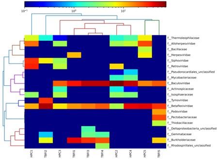 Family-level abundance heatmap showing sample variation.