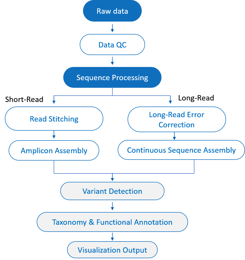 Bioinformatics pipeline for analyzing amplicon sequencing data