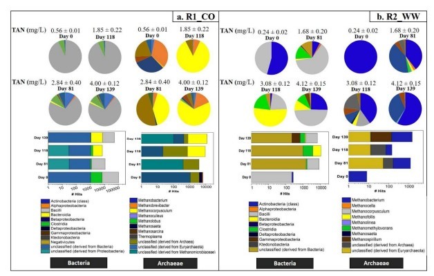 Taxonomic profiles of Bacteria and Archaea from 16S rRNA data across increasing  ammonia levels
