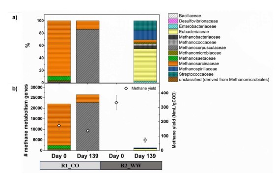 Gene copy number related to methane metabolism pathways (anabolic and  catabolic) from KEGG annotations