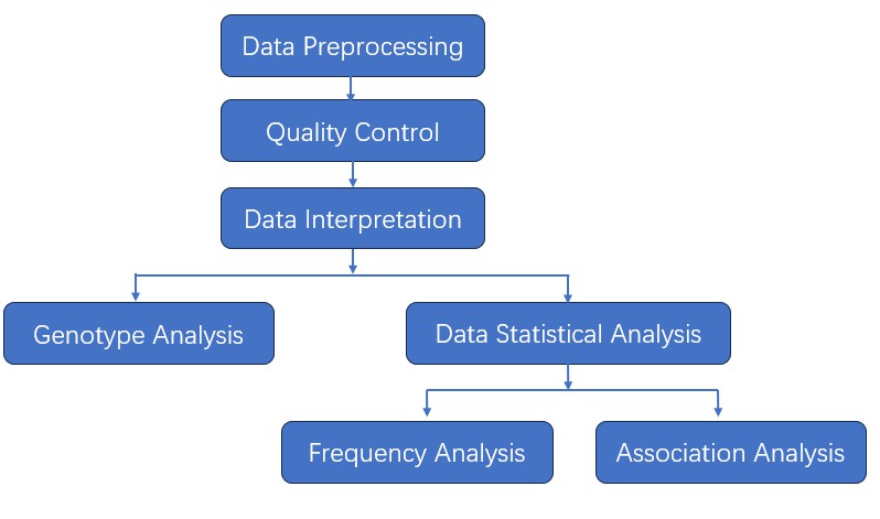 The Data Analysis Pipeline of TaqMan SNP Genotyping