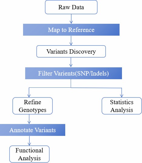 The analysis pipeline of animal and plant exome sequencing.