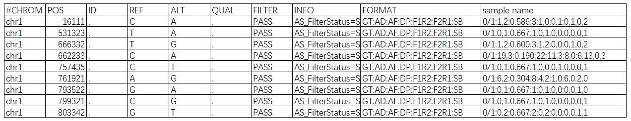 Partly SNV identification result.
