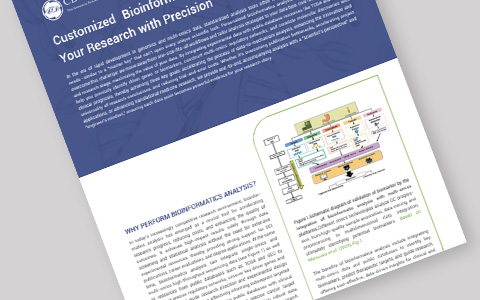 Explore Customized Bioinformatics Services: Case Studies & Insights