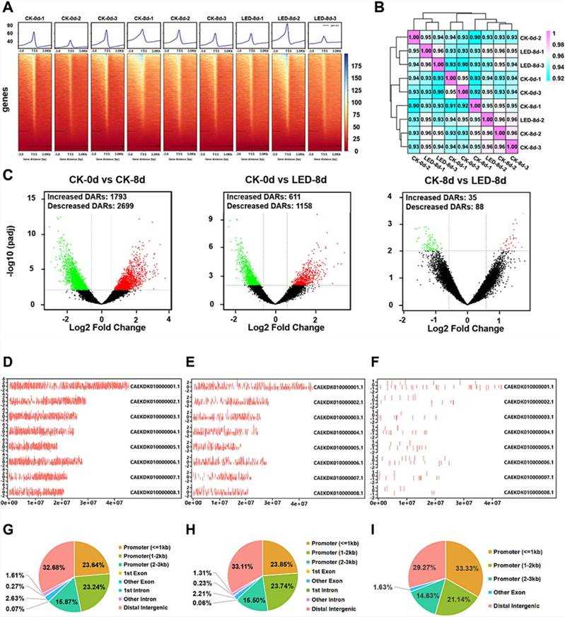 Fig. 3. ATAC-seq profiling during apricot fruit ripening. (Bai et al., 2024)