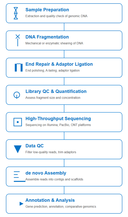 Whole Genome de novo Sequencing workflow