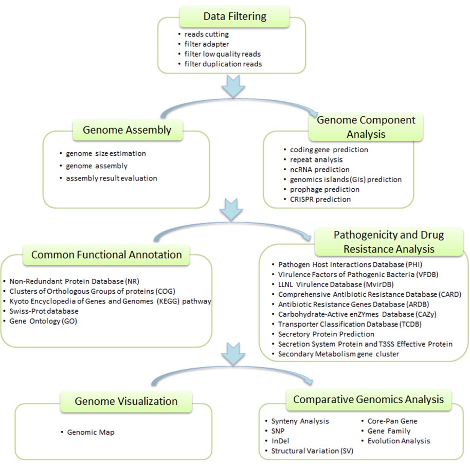 Comprehensive Bioinformatics Evaluation of Whole Genome Sequencing