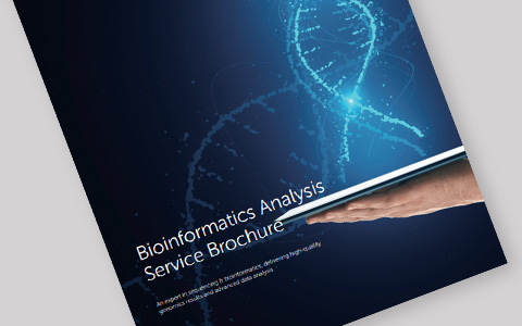 Bioinformatics Support