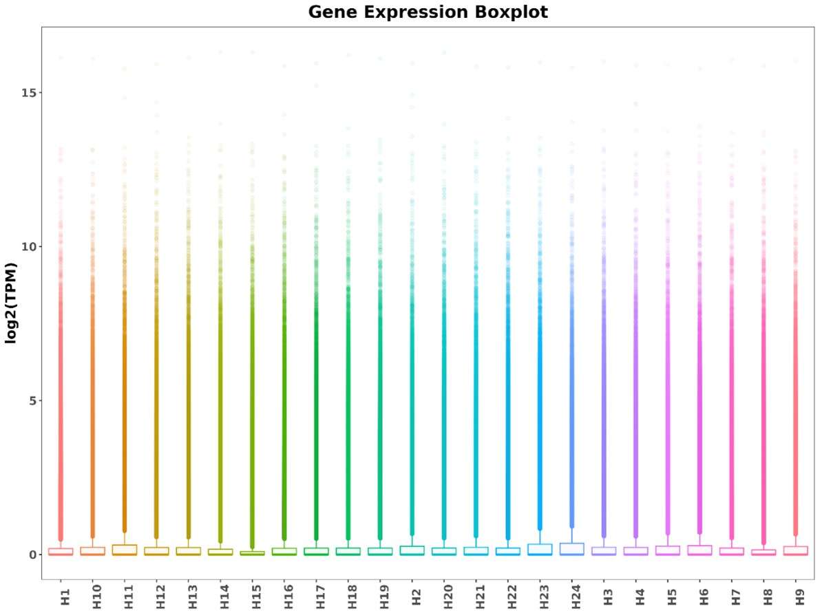Boxplot of TPM (transcripts per million) for each sample.