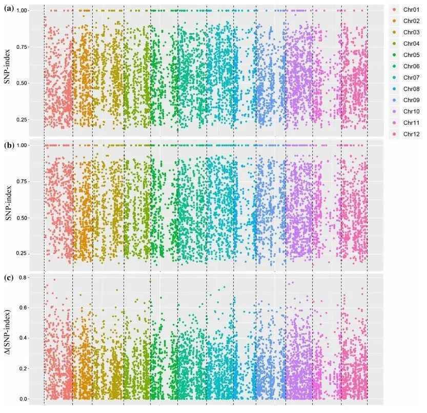 Example of SNP-Index and (SNP-Index) Calculation Results.