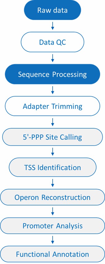 Bioinformatics Workflow for Cappable-seq