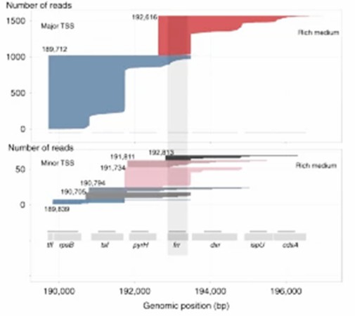 Gene Transcriptional Context Analysis