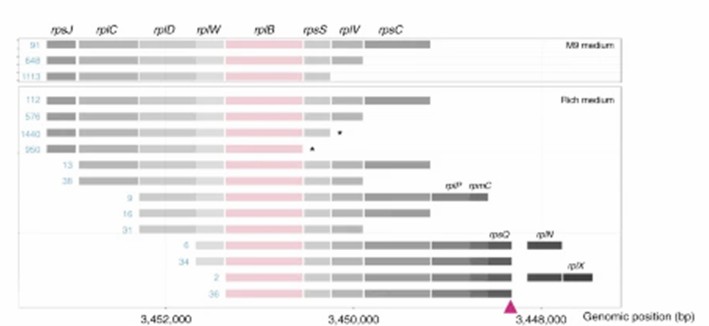 Gene Transcription Context Changes Under Different Conditions