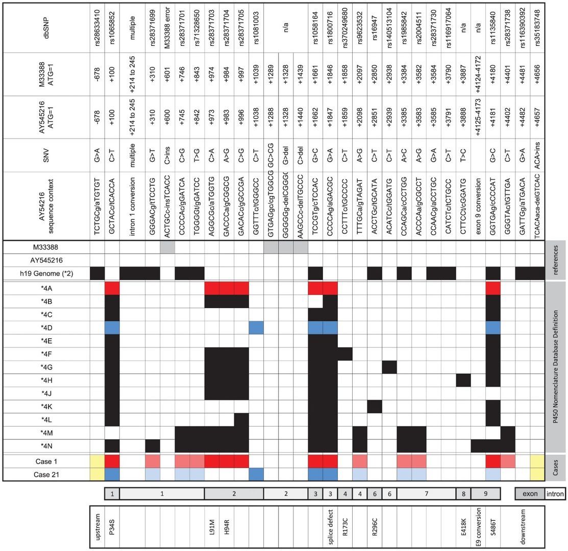 Figure 1. CYP2D6*4 Subvariant Variations. (Gaedigk et al., SNP genotyping using TaqMan® technology: the CYP2D6* 17 assay conundrum. 2015)