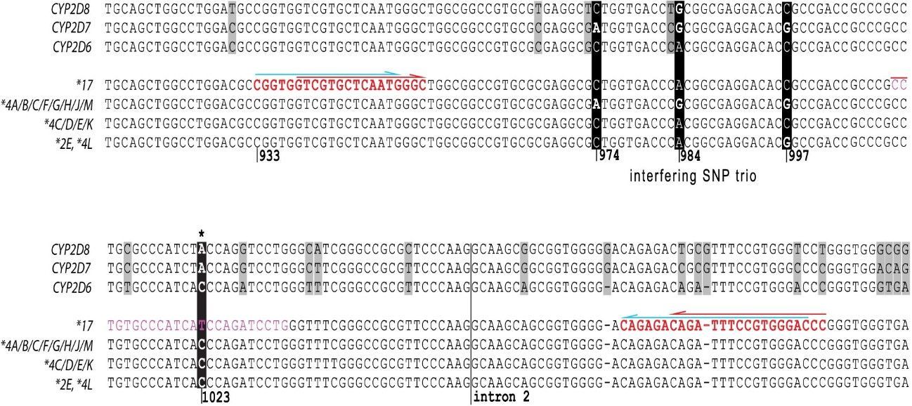 Figure 3. Comparative Sequence Analysis of CYP2D6 Variants, CYP2D7, and CYP2D8. (Gaedigk et al., SNP genotyping using TaqMan® technology: the CYP2D6* 17 assay conundrum. 2015)